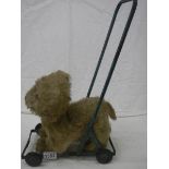 An unusual small 1950's push along dog baby stroller.