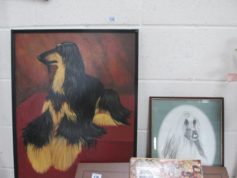 An original oil on board of an Afghan hound by G Brennan and two other Afghan hound pictures