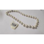 A substantial freshwater pearl necklace with silver ball clasp.