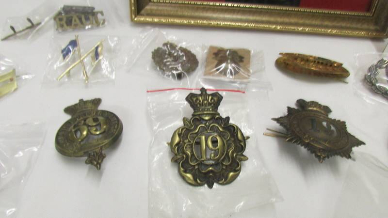 A good collection of military badges including a framed and glazed set. - Image 4 of 10