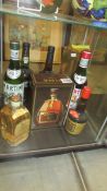 A bottle of Tia Maria, A boxed bottle of Hine VSOP Champagne Cognac,