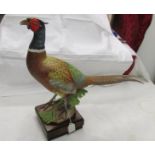 A superb Royal Worcester figure of a ring necked pheasant cock, signed.
