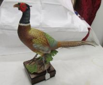 A superb Royal Worcester figure of a ring necked pheasant cock, signed.