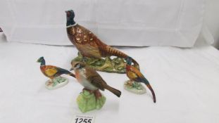 A Beswick pheaseant, 2 other smaller pheasants and a Raybu robin.