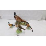 A Beswick pheaseant, 2 other smaller pheasants and a Raybu robin.