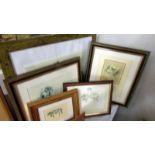 6 framed and glazed art deco dog prints by Lucy Dawson and Cecil Aldin.