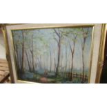 An oil on board forest scene signed D K Wilson.