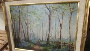 An oil on board forest scene signed D K Wilson.