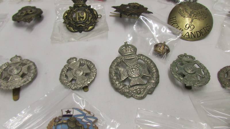 A good collection of military badges including a framed and glazed set. - Image 8 of 10