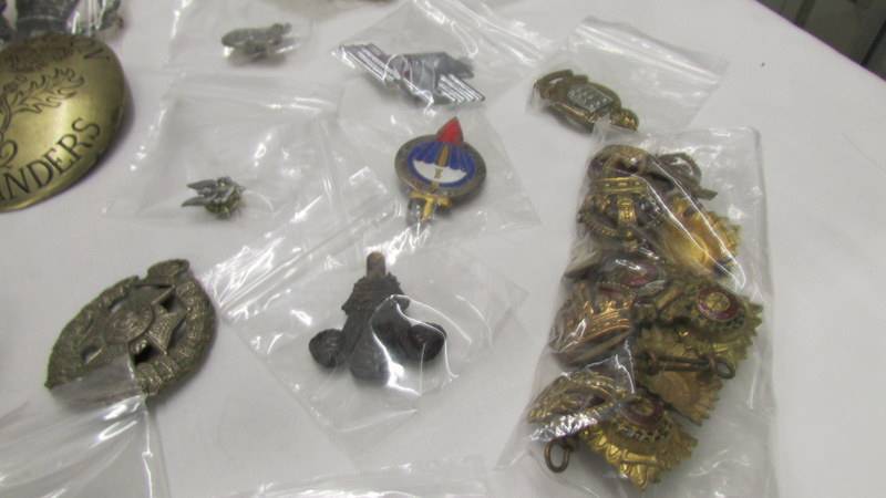 A good collection of military badges including a framed and glazed set. - Image 6 of 10