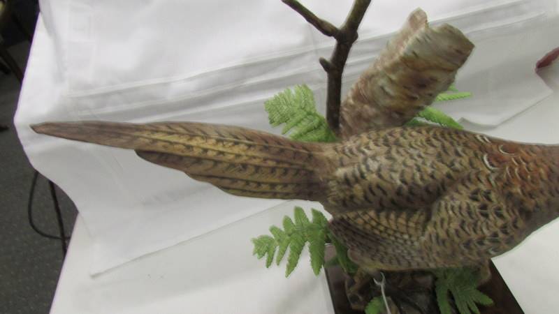 A superb Royal Worcester figure of a ring necked pheasant hen, signed. - Image 3 of 4