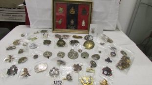 A good collection of military badges including a framed and glazed set.