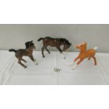 3 Beswick foals.