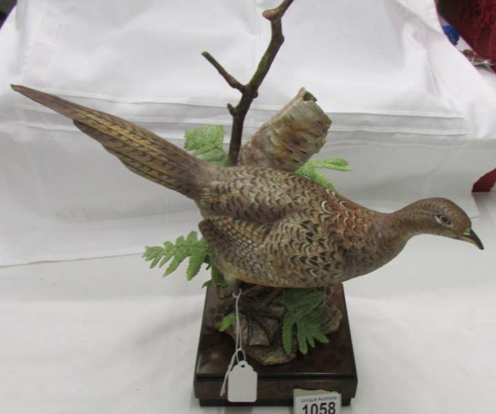 A superb Royal Worcester figure of a ring necked pheasant hen, signed.