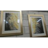 2 framed and glazed limited edition prints entitled Golden Shadows 1 and Golden Shadows 2.
