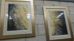 2 framed and glazed limited edition prints entitled Golden Shadows 1 and Golden Shadows 2.