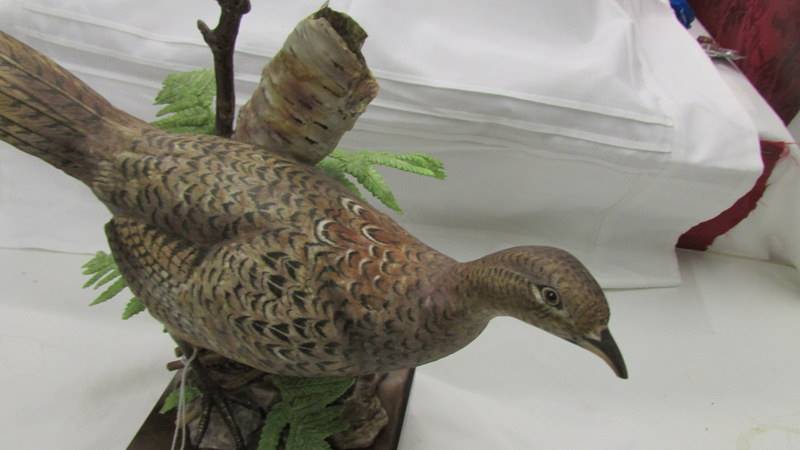 A superb Royal Worcester figure of a ring necked pheasant hen, signed. - Image 2 of 4