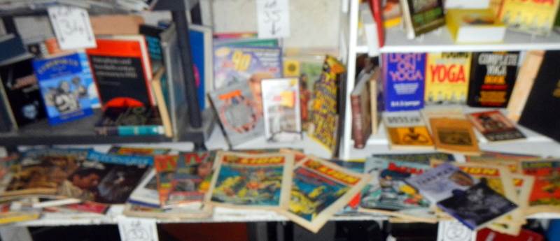 A long shelf of assorted comics including Joe 90, Return of the Jedi, Lion, Batman etc.