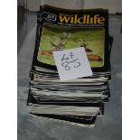 A quantity of World of Wildlife magazines.