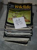 A quantity of World of Wildlife magazines.