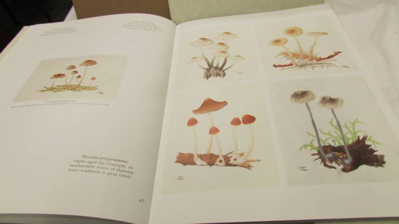 In Praise Of Toadstools vols 1 & 2 by Suzanne Lucas with many colour plates. - Image 6 of 15