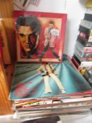 A quantity of Elvis LP records.