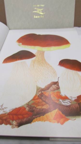 In Praise Of Toadstools vols 1 & 2 by Suzanne Lucas with many colour plates. - Image 4 of 15
