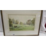 A framed and glazed watercolour of a stately home (possibly Doddington Hall) with a cow in the