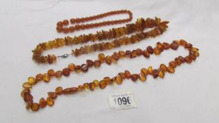 3 assorted amber necklaces, 21 grams, 54 grams and 71 grams. (146 grams in total).