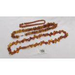 3 assorted amber necklaces, 21 grams, 54 grams and 71 grams. (146 grams in total).