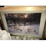 A large print of Sheep in Snow