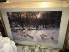 A large print of Sheep in Snow