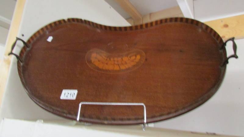 A Kidney shaped mahogany inlaid tray (some damage on edge)