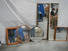 6 mirrors in various shapes and sizes.