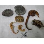 A mixed lot including antique dried taxidermy sea horses, tortoise shell and old fossil.