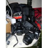 A large lot of digital camera's.