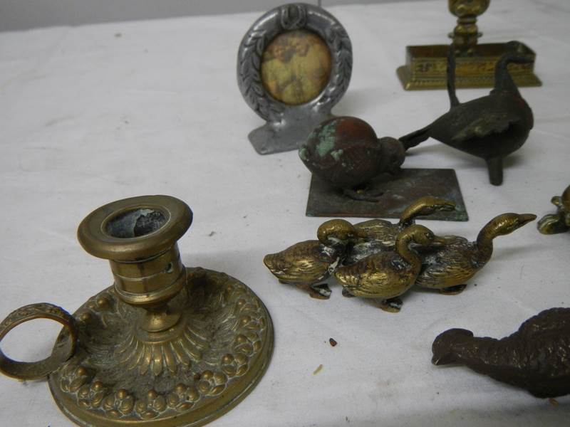 A mixed lot of small brass and bronze items including Chamber Candlestick, animals, hat pin stand, - Image 3 of 6