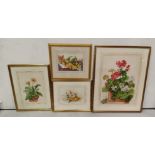 4 Floral Watercolours – still life’s of wild flowers, all mounted and framed (3 signed Jackie