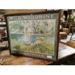 Wild Woodbine advertising print.