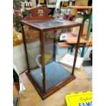 Early 20th C. mahogany shop counter cabinet.