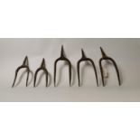 Set of five 19th. C. graduated toasting forks.