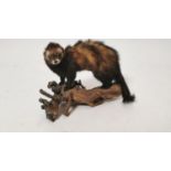 19th C. taxidermy Mink.