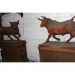 Pair of cast iron Bull's mounted on plinths.