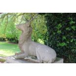 Exceptional quality cast stone model of a seated stag on plinth.