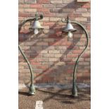 Pair of Swan neck lights.