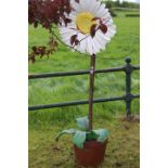 Garden feature in the form of a daisy flower in pot.