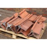 Set of twenty 19th C. terracotta ridge tiles.