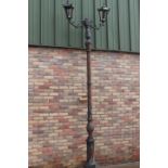 Cast iron double branch street lamp.