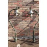 Pair of Swan neck lights.