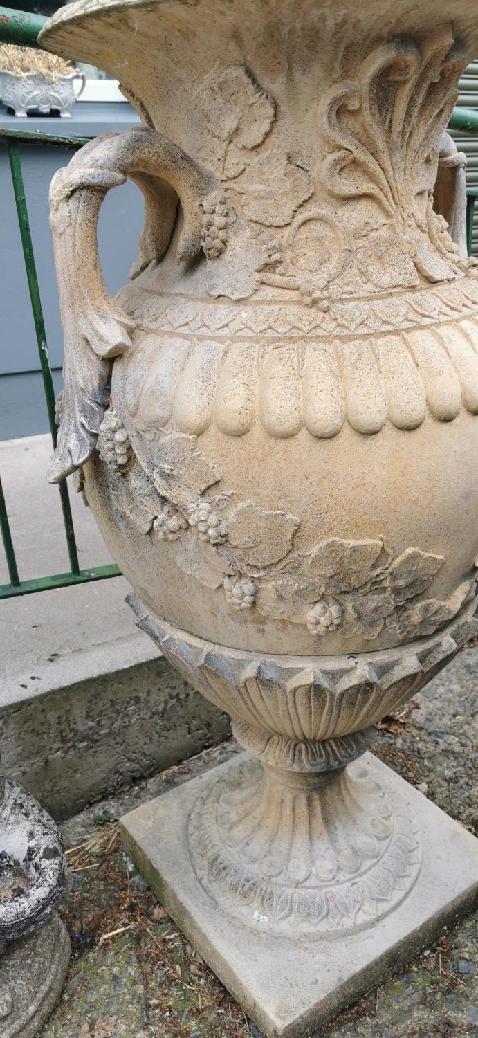 Pair of exceptional quality cast stone lidded urns in the Adams style. - Image 5 of 5